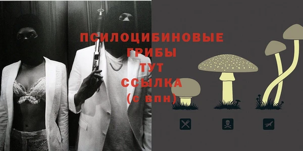 гашиш Заводоуковск