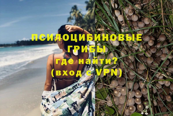 гашиш Заводоуковск