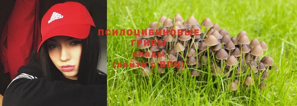 гашиш Заводоуковск