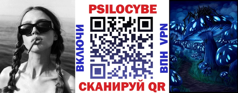 Псилоцибиновые грибы мицелий  Купить  Куса 